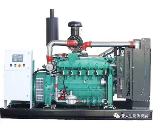 新盛安動(dòng)力 以創(chuàng)新驅(qū)動(dòng)綠色動(dòng)力，攜手亞太生物質(zhì)能展共拓未來